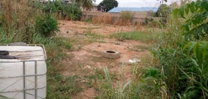 Image 1 Title