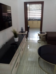 Tastefully Built Luxury Furnished And Serviced Mini Flat  Mini Flat for Short let Isolo Lagos Vetra  Property