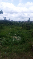 Fenced And Dry Half A Plot Of Land At Idimu Ejigbo Estate. Lagos Mainland  1 Plot of Land for Sale Ejigbo Lagos Vetra  Property