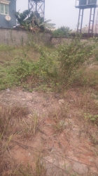 Fenced And Dry Plot Of Land At Ajao Estate Isolo.lagos Mainland. Cofo  Land for Sale Isolo Lagos Vetra  Property
