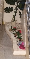 Image 1 Title