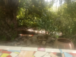 Image 1 Title