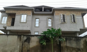 Image 1 Title