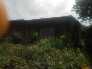 Image 1 Title