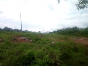 Image 1 Title