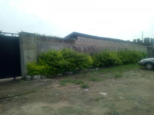 Image 1 Title