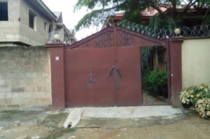 Image 1 Title