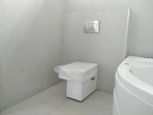Image 1 Title