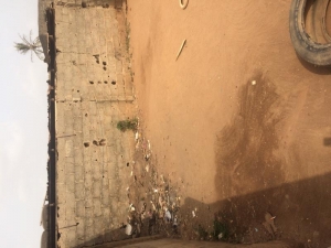 A Virgin Land For Sale  1 Plot of Land for Sale Agege Lagos Vetra  Property