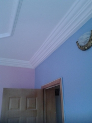 Image 1 Title