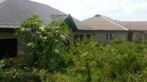 A Half Plot Of Land Measures 300sqmts 300 Meter Square of Land for Sale Agege Lagos Vetra  Property
