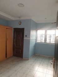 Superb 2 Bedrooms  2 bedroom Flat for Rent Surulere Lagos Vetra  Property