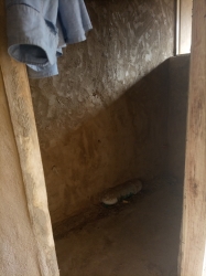Image 1 Title