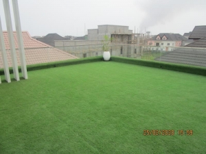 Image 1 Title