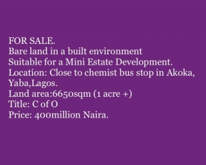 For Sale. Bare Land In A Built Environment Suitable For A Mini Estate Development. Location: Close To Chemist Bus Stop In Akoka, Yaba,lagos. Land Area:6650sqm (1 Acre +) Title: C Of O Price: 400million Naira. 6,650 Meter Square of Land for Sale Yaba Lagos Vetra  Property