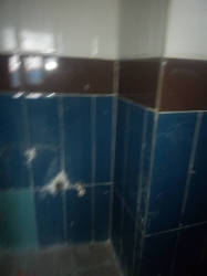 Image 1 Title
