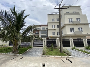 Image 1 Title