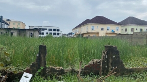 Image 1 Title