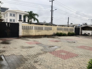 Image 1 Title