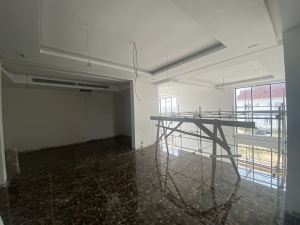 Image 1 Title