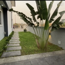 Image 1 Title