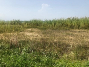 Land Measuring 600sqm And Waterfront 750sqm  600 Meter Square of Land for Sale Lekki Lagos Vetra  Property