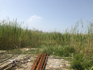 Image 1 Title