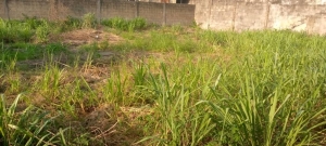 Image 1 Title