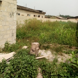 One Acre (6 Plots) Of Land Fence Round With Gate Location: Egbeda Idimu Road Facing The Major Road Price: 200 Million Net Title: C Of O 6 Plots of Land for Sale Alimosho Lagos Vetra  Property