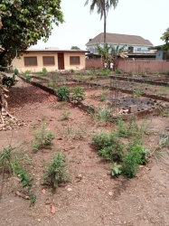 One And The Half Plot Of Land @ Santos Estate On It Is 3 Bedroom Flat On Set Back Title : C Of O Price : #35million Asking 1 Plot of Land for Sale Ikeja Lagos Vetra  Property