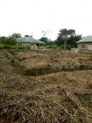 A Full Plot Of Land Very Close To Federal Poly Ilaro At Gbogidi Quarters, Very Good For Investment Purpose.  1 Plot of Land for Sale Yewa Ogun Vetra  Property