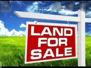 Dry Harf Plot Of Land With Registered Title Fence With Gate Good For Everything 1 Plot of Land for Sale Isolo Lagos Vetra  Property