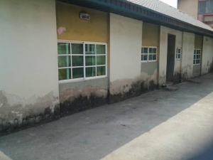 Image 1 Title
