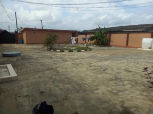 Image 1 Title