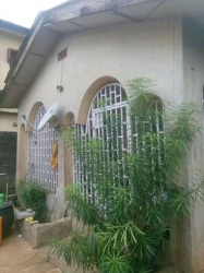 Executive Lovely Decent 3 Bedroom Bungalow Setback On A Half Plot Of Land With Registered Title Fence With Gate Terraced Bungalow for Sale Ikotun Igando Lagos Vetra  Property