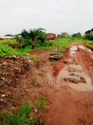 Full Dry Plot Of Land On A Good Environment Good For Everything With C Of O Fence Round With Gate  1 Plot of Land for Sale Isolo Lagos Vetra  Property
