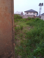 100 Percent Dry Harf Plot Of Land On A Good Environment Good For Everything Fence And Gate 1 Plot of Land for Sale Isolo Lagos Vetra  Property