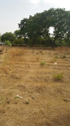 Land Measuring 5,000 Sqm, Fenced Round With Gate, By The Road Side, Title: C Of O For Commercial Use 5,000 Meter Square of Land for Sale Maitama Abuja Vetra  Property