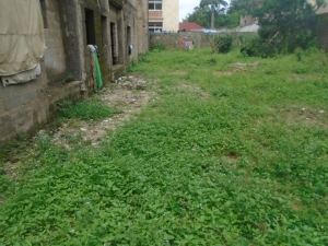 Image 1 Title