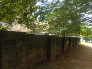 Image 1 Title