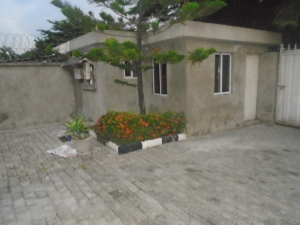 Image 1 Title