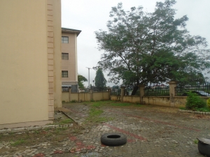 Image 1 Title