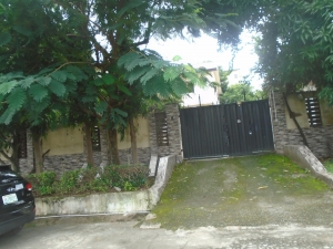 Image 1 Title