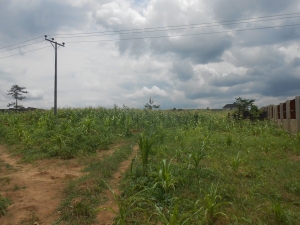 A Bare Land Measuring 10 Hecters For Mixed Use (comprehensive Development) Aviation Village Along Airport Road For Sale At 1b Land for Sale Durumi Abuja Vetra  Property