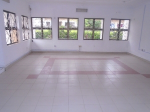 Image 1 Title