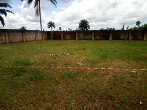 Limited Plot Of Lands Measuring 460sqm For Sale At Nellyani Homes Estate. 460 Meter Square of Land for Sale Uyo Akwa Ibom Vetra  Property