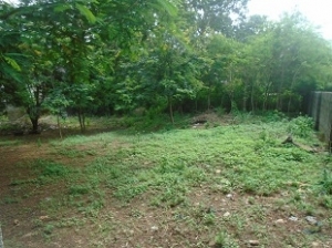 A Land Measuring 1,251.7 Sqm For Sale In Maitama  1,252 Meter Square of Land for Sale Maitama Abuja Vetra  Property