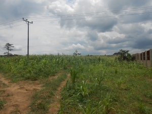 A Bare Land Measuring 700 Sqm With Parameter Fence For Sale 700 Meter Square of Land for Sale Apo Abuja Vetra  Property