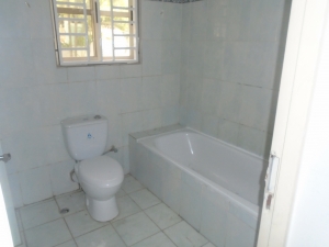 Image 1 Title