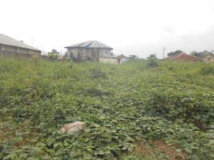 Land Measuring 1,240 Sqm 1,240 Meter Square of Land for Sale Uyo Akwa Ibom Vetra  Property